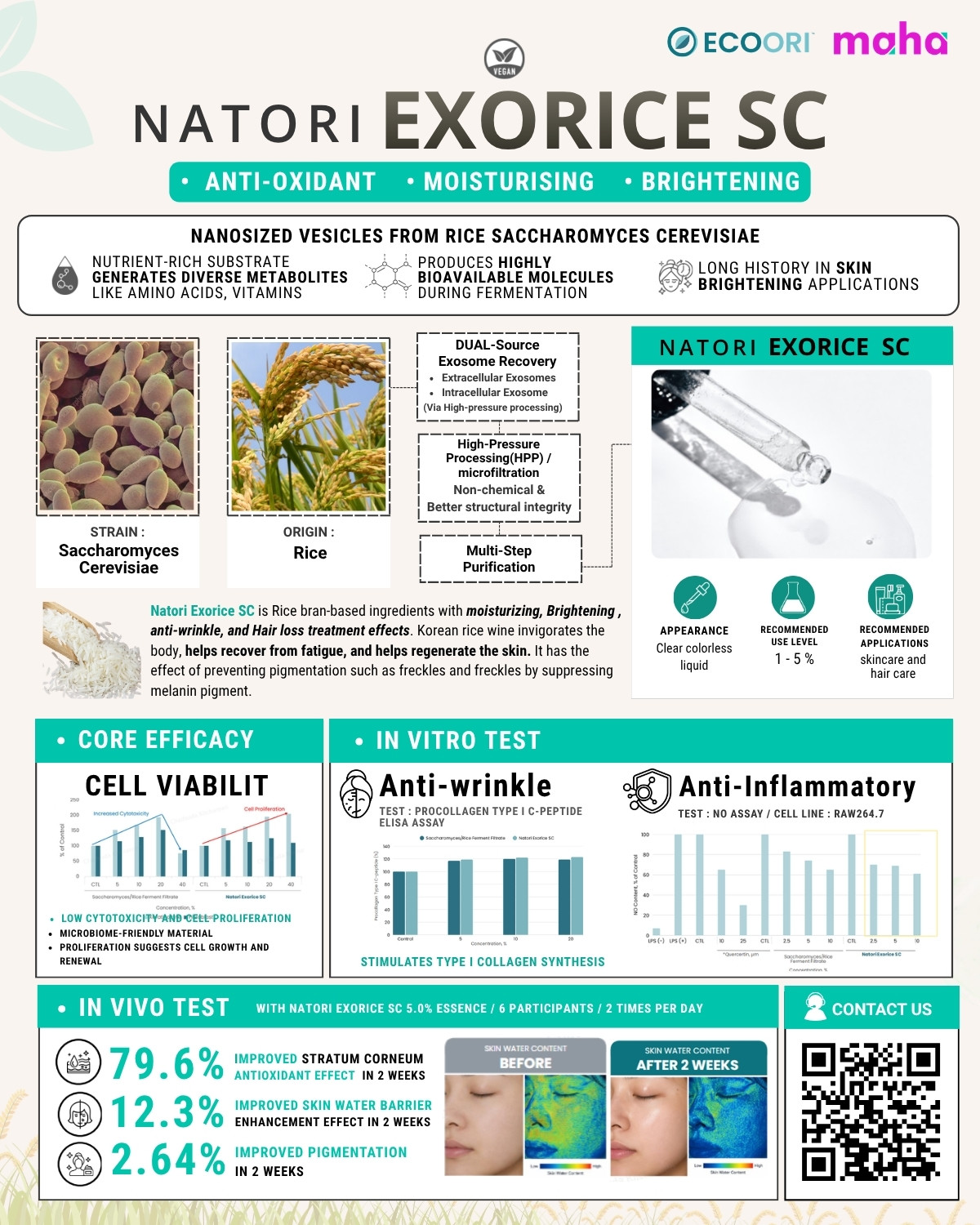 Natori Exorice SC one-page technical flyer