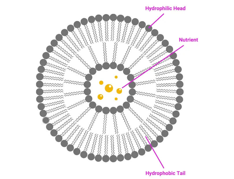 liposomal technology