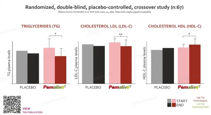 Pomalive® clinical study shows significant improvement in triglycerides, LDL, and HDL cholesterol levels – backed by double-blind placebo-controlled crossover trial (N=67).