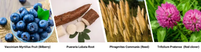 moistboom combines with moistboom combines with