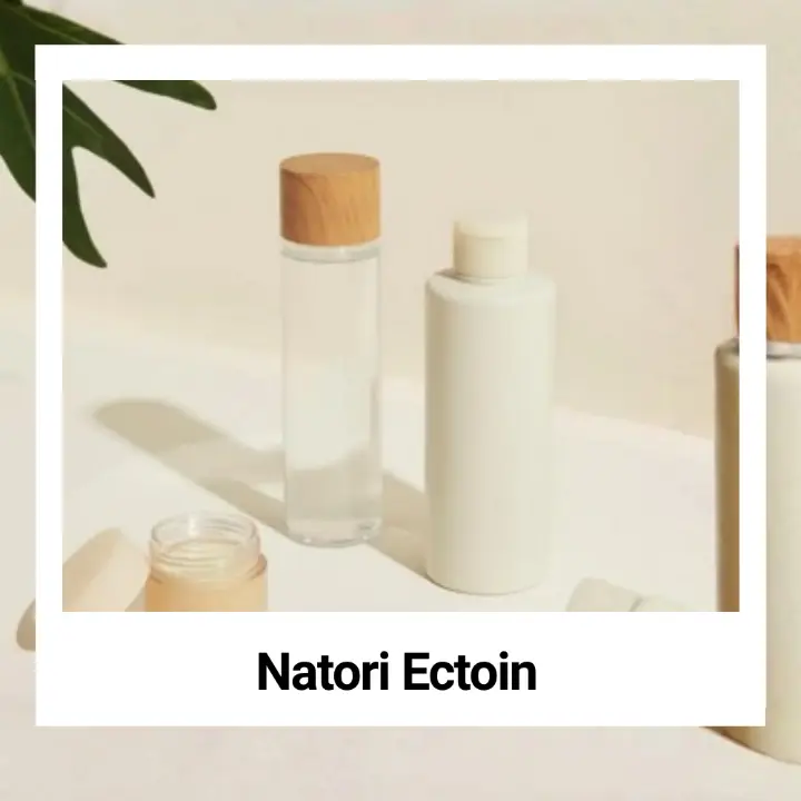 Natori Ectoin Natori Ectoin
