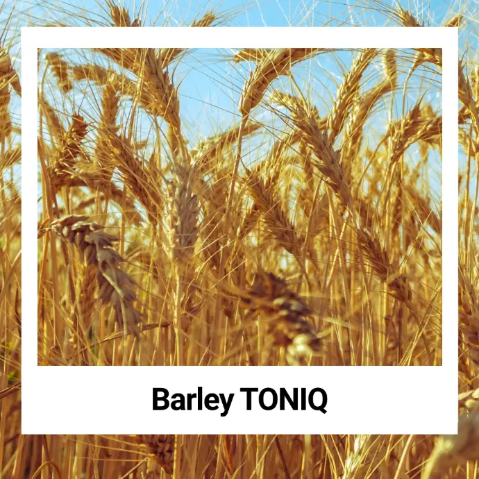 Barley TONIQ 