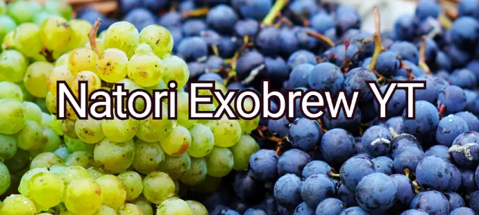 exobrew YT