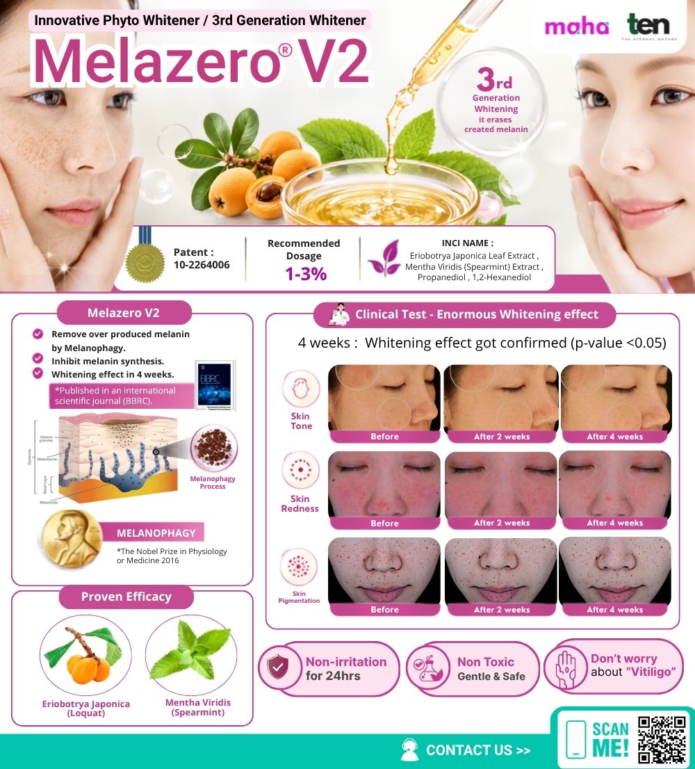 Melazero V2 product flyer