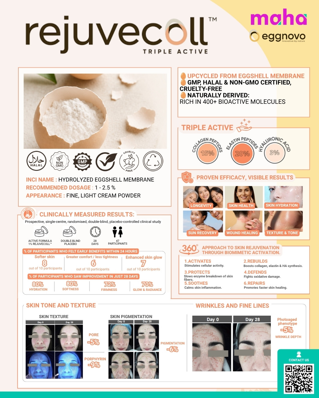 Rejuvecoll Triple Active 1-page flyer