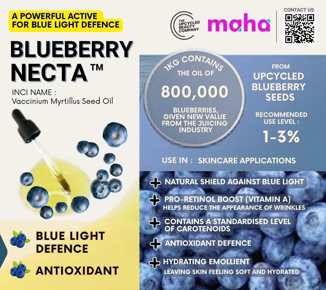 Blueberry NECTA 1-page flyer
